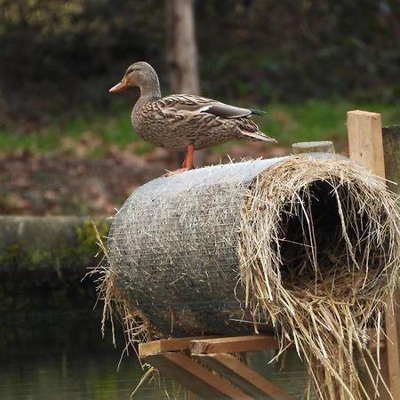 Maison D'Hotes En Pleine Nature Avec Chevaux Soucht Exterior photo