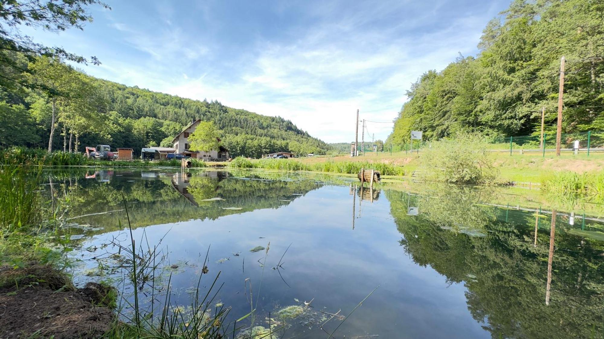 Maison D'Hotes En Pleine Nature Avec Chevaux Soucht Exterior photo