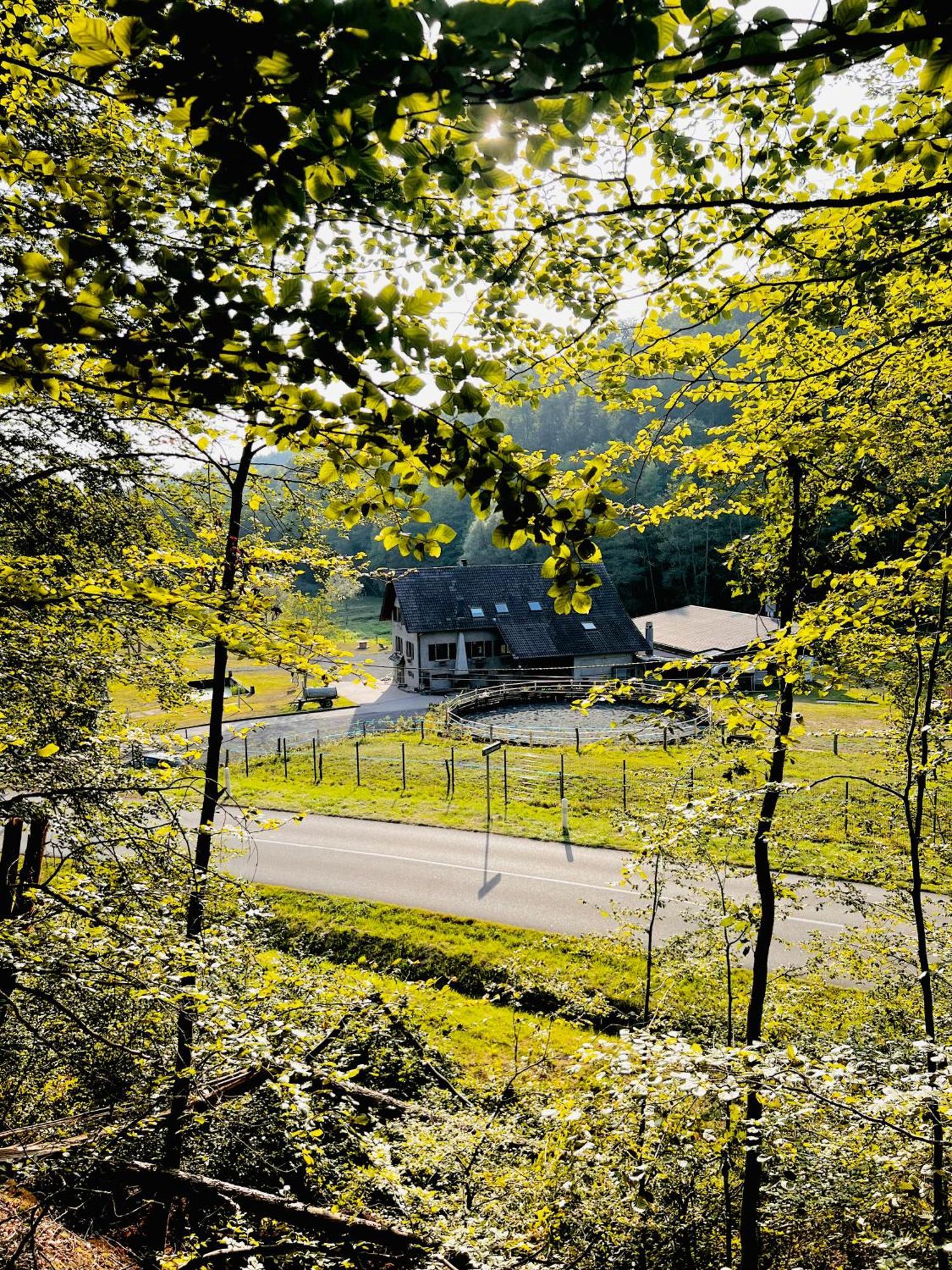 Maison D'Hotes En Pleine Nature Avec Chevaux Soucht Exterior photo